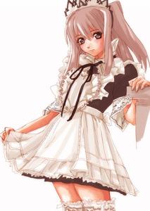 IMG_000442.jpg ( 55 KB ) by Upload