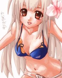 IMG_000453.jpg ( 52 KB ) by Upload