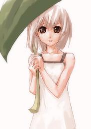 IMG_000456.jpg ( 27 KB ) by Upload