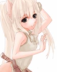 IMG_000520.jpg ( 46 KB ) by Upload