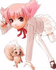 IMG_000524.jpg ( 60 KB ) by Upload