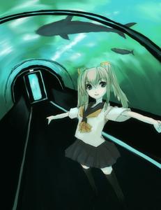 IMG_000594.jpg ( 74 KB ) by Upload