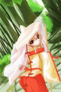 IMG_000595.jpg ( 110 KB ) by Upload