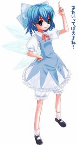 IMG_000810.jpg ( 53 KB ) by Upload